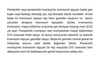 Perisentrik veya parasentrik inversiyonlu kromozom taşıyan kişide gen
kaybı veya fazlalığı olmadığı için, kişi fenotipik olarak normaldir. Ancak
böyle bir kromozom taşıyan kişi farklı gametler oluşturur ve kişinin
çocukları    dengesiz    kromozom       taşıyabilir.   Çünkü     inversiyonlu
kromozom, mayoz bölünme sırasında eşit olmayan krosing–over (C/O)
yol açar. Parasentrik inversiyon olan kromozomda mayoz bölünmede
C/O sırasında ilmek oluşur ve bunun sonucunda disentrik ve asentrik
kromozom taşıyan gametler oluşur. Böyle bir gametin normal gamet ile
birleşmesi   sonucu     canlı   bebek     doğumları     olmaz.    Perisentrik
inversiyonlu kromozom taşıyan bir kişi mayozda C/O sırasında hem
delesyonlu hem de dublikasyonlu gamet oluşumuna sebep olur.
 