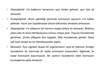 •   Otopoliploidi: n’in katlarının tamamının aynı türden gelmesi, aynı türe ait
    olmasıdır.

•   Endopoliploidi: Hücre çekirdeği içerisinde kromozom sayısının n’in katları
    şeklinde hücre zarı kaybolmadan (hücre bölünmesi olmadan) artmasıdır.
•   Allopoliploidi: n’in katlarının bir kısmının başka türlere ait olmasıdır. Birbirine
    yakın olan iki türün hibridizasyonu sonucu ortaya çıkar. Hayvan hücrelerinde
    görülmez. Çünkü çiftleşme türe özgüdür. Bitki hücrelerinde görülür. Daha
    çok ticari amaçlı bu tür hibridizasyonlar yapılır.
•   Mozaisim: Aynı zigottan oluşan bir organizmanın veya bir dokunun örneğin
    hücrelerinin bir kısmında 2n kadar kromozom bulunurken, diğerinde 3n
    kadar kromozom bulunmasıdır. Bir canlının hücrelerinin farklı kromozom
    kuruluşlarına sahip olmasıdır.
 