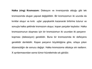 Halka (ring) Kromozom: Delesyon ve inversiyonda olduğu gibi tek

kromozomda oluşan yapısal değişikliktir. Bir kromozomun iki ucunda da

kırıklar oluşur ve kırık uçlar yapışkanlık kazanarak birbirine tutunur ve

sonuçta halka şeklinde kromozom oluşur, kopan parçalar kaybolur. Halka

kromozomunun oluşması için bir kromozomun iki ucundan iki parçanın

kopması (delessiyon) gereklidir. Buna bir kromozomda iki defisiyens

gereklidir denilebilir. Kopan parçanın büyüklüğüne göre, ortaya çıkan

düzensizliğin de sonucu değişir. Halka kromozoma oldukça sık rastlanır.

X ışınlanmasından sonra tümor hücrelerinde sık görülür.
 