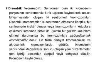 7.Disentrik kromozom: Sentromeri olan iki kromozom
  parçasının sentromersiz kırık uçlarını kaybederek ucuca
  birleşmesinden oluşan iki sentromerli kromozomdur.
  Disentrik kromozomlar iki sentromeri olmasına karşılık, bir
  sentromerin inaktif olması veya kromozomların kutuplara
  çekilmesi sırasında birbiri ile uyumlu bir şekilde kutuplara
  gitmesi durumunda bu kromozomlara psödodisentrik
  kromozomlar denir. En fazla cinsiyet kromozomları ve
  akrosentrik     kromozomlarda       görülür.     Kromozom
  yapısındaki değişiklikler sonucu oluşan yeni düzenlemeler
  gen içeriği açısından dengeli veya dengesiz olabilir.
  Kromozom kaybı olmaz.
 