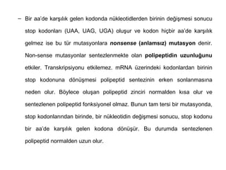 – Bir aa’de karşılık gelen kodonda nükleotidlerden birinin değişmesi sonucu

  stop kodonları (UAA, UAG, UGA) oluşur ve kodon hiçbir aa’de karşılık

  gelmez ise bu tür mutasyonlara nonsense (anlamsız) mutasyon denir.

  Non-sense mutasyonlar sentezlenmekte olan polipeptidin uzunluğunu

  etkiler. Transkripsiyonu etkilemez. mRNA üzerindeki kodonlardan birinin

  stop kodonuna dönüşmesi polipeptid sentezinin erken sonlanmasına

  neden olur. Böylece oluşan polipeptid zinciri normalden kısa olur ve

  sentezlenen polipeptid fonksiyonel olmaz. Bunun tam tersi bir mutasyonda,

  stop kodonlarından birinde, bir nükleotidin değişmesi sonucu, stop kodonu

  bir aa’de karşılık gelen kodona dönüşür. Bu durumda sentezlenen

  polipeptid normalden uzun olur.
 