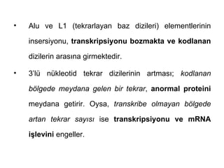 •   Alu ve L1 (tekrarlayan baz dizileri) elementlerinin

    insersiyonu, transkripsiyonu bozmakta ve kodlanan

    dizilerin arasına girmektedir.

•   3’lü nükleotid tekrar dizilerinin artması; kodlanan

    bölgede meydana gelen bir tekrar, anormal proteini

    meydana getirir. Oysa, transkribe olmayan bölgede

    artan tekrar sayısı ise transkripsiyonu ve mRNA

    işlevini engeller.
 