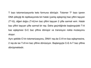 T bazı totomerizasyonla keto formuna dönüşür. Totomer T* bazı içeren
DNA iplikçiği ilk replikasyonda biri hatalı (yanlış eşleşmiş) baz çiftini taşıyan
(T*-G), diğeri doğru (T-A)’nın baz çiftini taşıyan 2 çifte sarmal verir. Hatalı
baz çiftini taşıyan çifte sarmal bir rep. Daha geçirdiğinde başlangıçtaki T-A
baz eşleşmesi G-C baz çiftine dönüşür ve transisyon nokta mutasyonu
oluşur.
Aynı şekilde C’nin totomerizasyonu, DNA1 rep.da C-A’nın baz eşleşmesine,
2 rep.da ise T-A’nın baz çiftine dönüsüyor. Başlangıçta C-G A-T baz çiftine
dönüşmektedir.
 