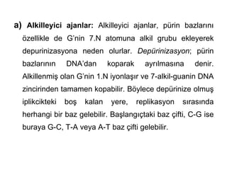 a) Alkilleyici ajanlar: Alkilleyici ajanlar, pürin bazlarını
  özellikle de G’nin 7.N atomuna alkil grubu ekleyerek
  depurinizasyona neden olurlar. Depürinizasyon; pürin
  bazlarının     DNA’dan       koparak     ayrılmasına    denir.
  Alkillenmiş olan G’nin 1.N iyonlaşır ve 7-alkil-guanin DNA
  zincirinden tamamen kopabilir. Böylece depürinize olmuş
  iplikcikteki   boş   kalan   yere,     replikasyon   sırasında
  herhangi bir baz gelebilir. Başlangıçtaki baz çifti, C-G ise
  buraya G-C, T-A veya A-T baz çifti gelebilir.
 