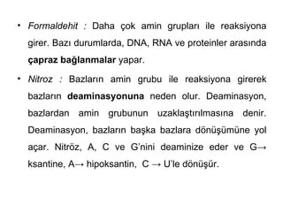 • Formaldehit : Daha çok amin grupları ile reaksiyona
  girer. Bazı durumlarda, DNA, RNA ve proteinler arasında
  çapraz bağlanmalar yapar.
• Nitroz : Bazların amin grubu ile reaksiyona girerek
  bazların deaminasyonuna neden olur. Deaminasyon,
  bazlardan amin grubunun uzaklaştırılmasına denir.
  Deaminasyon, bazların başka bazlara dönüşümüne yol
  açar. Nitröz, A, C ve G’nini deaminize eder ve G→
  ksantine, A→ hipoksantin, C → U’le dönüşür.
 