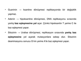 •   Guaninin → ksantine dönüşmesi replikasyonda bir değişiklik
    yapmaz.

•   Adenin → hipoksantine dönüşmesi, DNA replikasyonu sırasında
    yanlış baz eşleşmesine yol açar. Çünkü hipoksantin T yerine C ile
    baz eşleşmesi yapar.

•   Sitozinin → Uralise dönüşmesi, replikasyon sırasında yanlış baz
    eşleşmesine yol açarak mutasyonlara sebep olur. Sitozinin
    deaminasyonu sonucu G’nin yerine A’le baz eşleşmesi yapar.
 