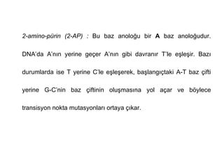 2-amino-pürin (2-AP) : Bu baz anoloğu bir A baz anoloğudur.

DNA’da A’nın yerine geçer A’nın gibi davranır T’le eşleşir. Bazı

durumlarda ise T yerine C’le eşleşerek, başlangıçtaki A-T baz çifti

yerine G-C’nin baz çiftinin oluşmasına yol açar ve böylece

transisyon nokta mutasyonları ortaya çıkar.
 