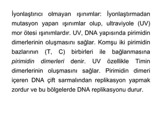 İyonlaştırıcı olmayan ışınımlar: İyonlaştırmadan
mutasyon yapan ışınımlar olup, ultraviyole (UV)
mor ötesi ışınımlardır. UV, DNA yapısında pirimidin
dimerlerinin oluşmasını sağlar. Komşu iki pirimidin
bazlarının    (T,   C)   birbirleri   ile     bağlanmasına
pirimidin    dimerleri   denir.   UV        özellikle   Timin
dimerlerinin oluşmasını sağlar. Pirimidin dimeri
içeren DNA çift sarmalından replikasyon yapmak
zordur ve bu bölgelerde DNA replikasyonu durur.
 