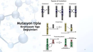 eri
Mutasyon tipl
Kromozom Yapı
Değişimleri
9
 