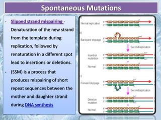 Replication Mutation Mutation | PPTX
