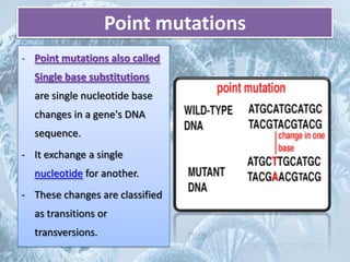 Mutation | PPTX