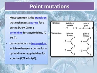 Mutation | PPTX