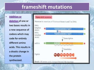 Mutation | PPTX