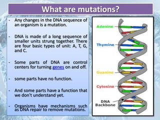 Mutation | PPTX