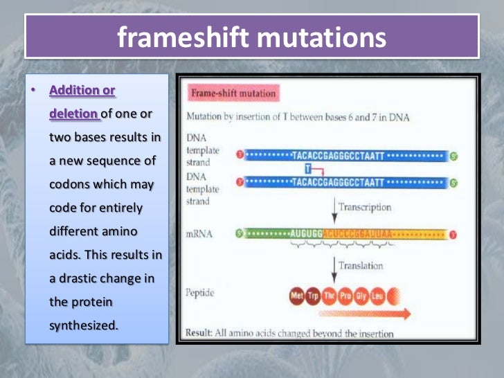 Mutation