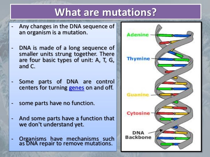 Mutation
