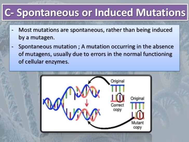 Mutation