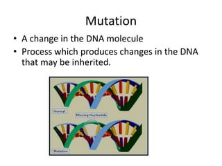 Mutation 
• A change in the DNA molecule 
• Process which produces changes in the DNA 
that may be inherited. 
 