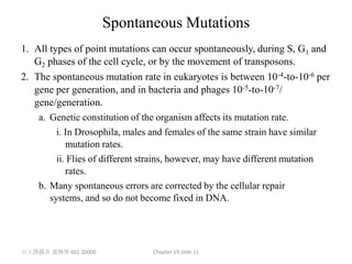 Spontaneous Mutations
1. All types of point mutations can occur spontaneously, during S, G1 and
   G2 phases of the cell cycle, or by the movement of transposons.
2. The spontaneous mutation rate in eukaryotes is between 10-4-to-10-6 per
   gene per generation, and in bacteria and phages 10-5-to-10-7/
   gene/generation.
    a. Genetic constitution of the organism affects its mutation rate.
         i. In Drosophila, males and females of the same strain have similar
            mutation rates.
         ii. Flies of different strains, however, may have different mutation
            rates.
    b. Many spontaneous errors are corrected by the cellular repair
       systems, and so do not become fixed in DNA.




台大農藝系 遺傳學 601 20000             Chapter 19 slide 11
 