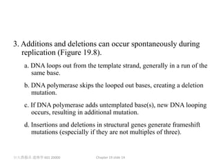 3. Additions and deletions can occur spontaneously during
   replication (Figure 19.8).
    a. DNA loops out from the template strand, generally in a run of the
       same base.
    b. DNA polymerase skips the looped out bases, creating a deletion
       mutation.
    c. If DNA polymerase adds untemplated base(s), new DNA looping
       occurs, resulting in additional mutation.
    d. Insertions and deletions in structural genes generate frameshift
       mutations (especially if they are not multiples of three).


台大農藝系 遺傳學 601 20000            Chapter 19 slide 14
 