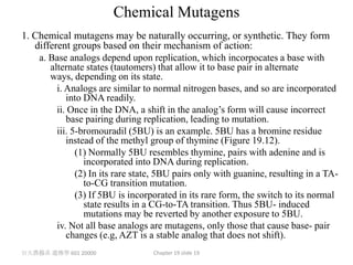 Chemical Mutagens
1. Chemical mutagens may be naturally occurring, or synthetic. They form
   different groups based on their mechanism of action:
    a. Base analogs depend upon replication, which incorpocates a base with
       alternate states (tautomers) that allow it to base pair in alternate
       ways, depending on its state.
         i. Analogs are similar to normal nitrogen bases, and so are incorporated
            into DNA readily.
         ii. Once in the DNA, a shift in the analog’s form will cause incorrect
            base pairing during replication, leading to mutation.
         iii. 5-bromouradil (5BU) is an example. 5BU has a bromine residue
            instead of the methyl group of thymine (Figure 19.12).
               (1) Normally 5BU resembles thymine, pairs with adenine and is
                 incorporated into DNA during replication.
               (2) In its rare state, 5BU pairs only with guanine, resulting in a TA-
                 to-CG transition mutation.
               (3) If 5BU is incorporated in its rare form, the switch to its normal
                 state results in a CG-to-TA transition. Thus 5BU- induced
                 mutations may be reverted by another exposure to 5BU.
         iv. Not all base analogs are mutagens, only those that cause base- pair
            changes (e.g, AZT is a stable analog that does not shift).
台大農藝系 遺傳學 601 20000                Chapter 19 slide 19
 