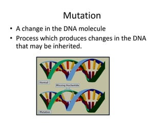 Mutation
• A change in the DNA molecule
• Process which produces changes in the DNA
  that may be inherited.
 