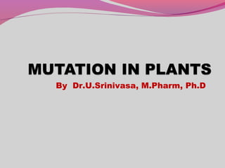 By Dr.U.Srinivasa, M.Pharm, Ph.D
 