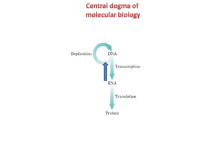 Futation Meaning Mutation | PPTX