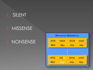 3.
SILENT
4.
MISSENSE
5.
NONSENSE