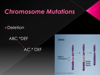 Deletion
ABC *DEF
AC * DEF