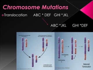 Translocation
ABC * DEF GHI *JKL
ABC *JKL
GHI *DEF