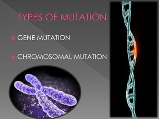 
GENE MUTATION
CHROMOSOMAL MUTATION