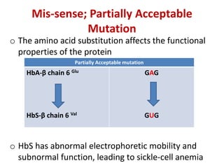 Mis-sense; Partially Acceptable
Mutation
o The amino acid substitution affects the functional
properties of the protein
o HbS has abnormal electrophoretic mobility and
subnormal function, leading to sickle-cell anemia
Partially Acceptable mutation
HbA-β chain 6 Glu
HbS-β chain 6 Val
GAG
GUG
 