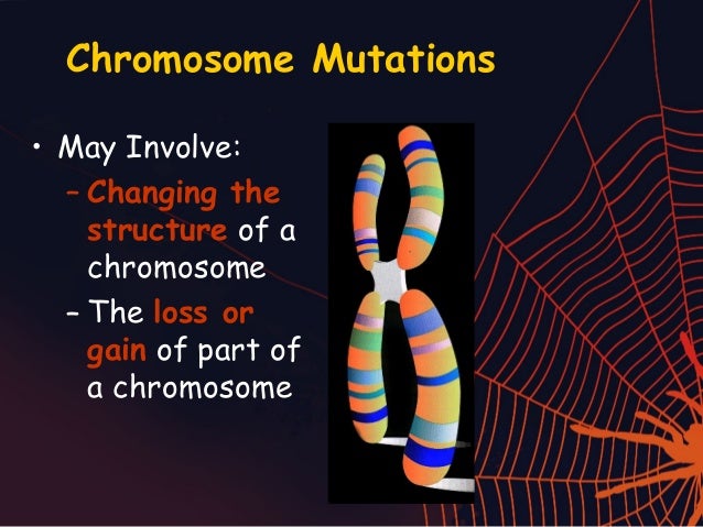 brief overview of Mutation.
