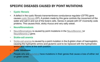 SPECIFIC DISEASES CAUSED BY POINT MUTATIONS
• Cystic fibrosis
• A defect in the cystic fibrosis transmembrane conductance regulator (CFTR) gene
causes cystic fibrosis (CF). A protein made by this gene controls the movement of the
water and salt in and out of the body's cells. Genes in people with CF incorrectly code
proteins. This causes thick, sticky mucus and very salty sweat.
• Neurofibromatosis
• Neurofibromatosis is caused by point mutations in the Neurofibromin 1or
Neurofibromin 2 gene.
• Sickle-cell anemia
• Sickle-cell anemia is caused by a point mutation in the β-globin chain of haemoglobin,
causing the hydrophilic amino acid glutamic acid to be replaced with the hydrophobic
amino acid valine at the sixth position.
• Color blindness
• People who are colorblind have mutations in their genes that cause a loss of either red
or green cones
 