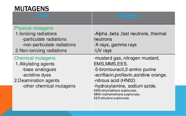 types of mutation types of mutations