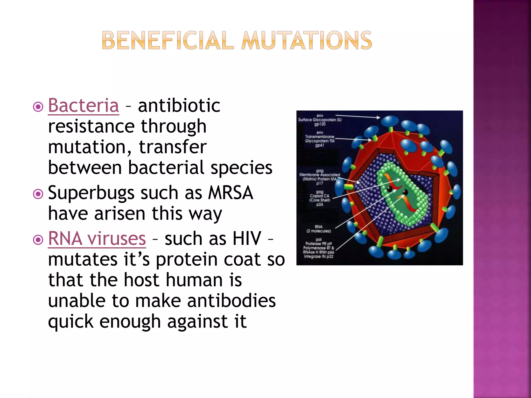  Bacteria – antibiotic
resistance through
mutation, transfer
between bacterial species
 Superbugs such as MRSA
have arisen this way
 RNA viruses – such as HIV –
mutates it’s protein coat so
that the host human is
unable to make antibodies
quick enough against it
 