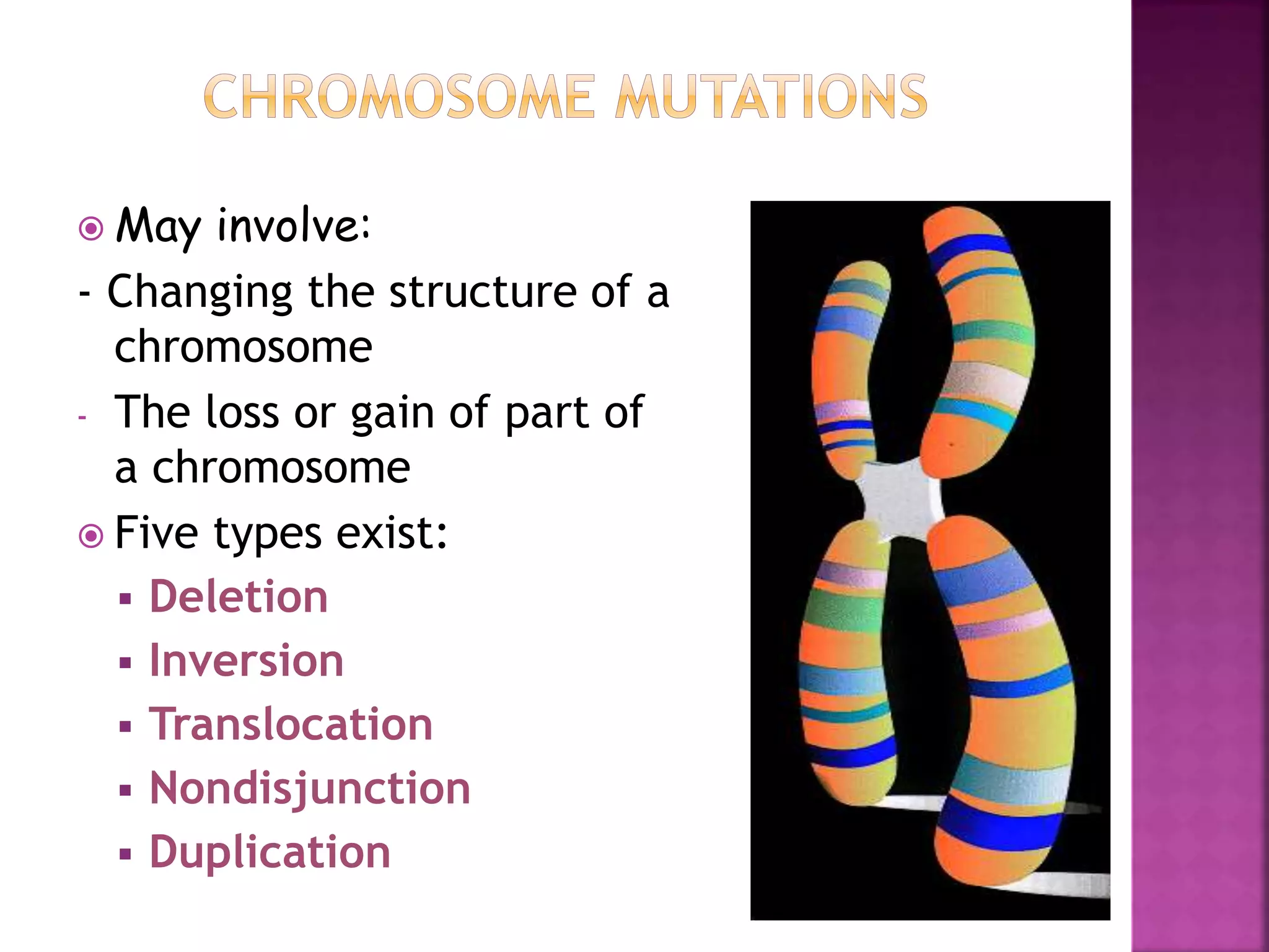  May involve:
- Changing the structure of a
chromosome
- The loss or gain of part of
a chromosome
 Five types exist:
 Deletion
 Inversion
 Translocation
 Nondisjunction
 Duplication
 