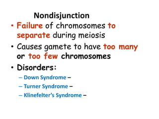 Nondisjunction
• Failure of chromosomes to
separate during meiosis
• Causes gamete to have too many
or too few chromosomes
• Disorders:
– Down Syndrome – three 21st chromosomes
– Turner Syndrome – single X chromosome
– Klinefelter’s Syndrome – XXY chromosomes
 