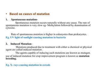 • Based on causes of mutation
1. Spontaneous mutation-
Spontaneous mutation occurs naturally without any cause. The rate of
spontaneous mutation is very slow eg- Methylation followed by deamination of
cytosine.
Rate of spontaneous mutation is higher in eukaryotes than prokaryotes.
Eg. UV light of sunlight causing mutation in bacteria
2. Induced Mutation-
Mutations produced due to treatment with either a chemical or physical
agent are called induced mutation .
The agents capable of inducing such mutations are known as mutagen.
use of induced mutation for crop improvement program is known as mutation
breeding.
Eg. X- rays causing mutation in cereals
 