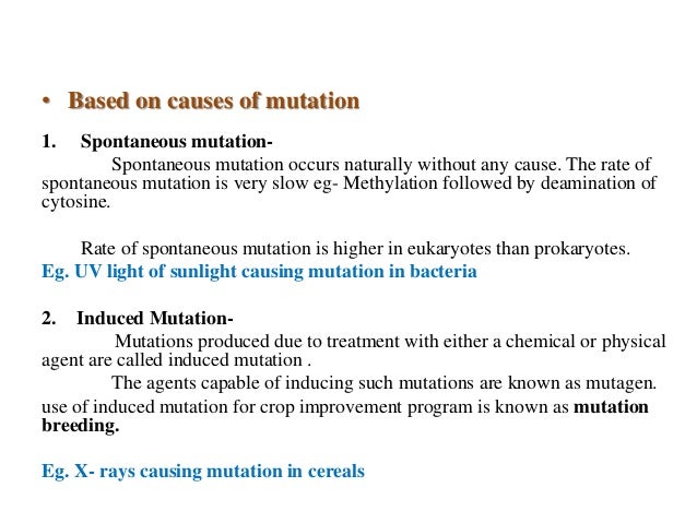 what are examples of things that cause mutations