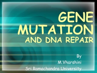 GENE
MUTATION
AND DNA REPAIR
By
M.Vharshini
Sri Ramachandra University
1
 