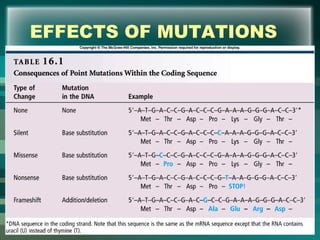 EFFECTS OF MUTATIONS
17
 
