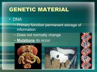 GENETIC MATERIAL
• DNA
– Primary function permanent storage of
information
– Does not normally change
– Mutations do occur
2
 