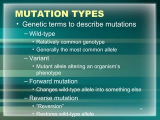 MUTATION TYPES
• Genetic terms to describe mutations
– Wild-type
• Relatively common genotype
• Generally the most common allele
– Variant
• Mutant allele altering an organism’s
phenotype
– Forward mutation
• Changes wild-type allele into something else
– Reverse mutation
• “Reversion”
• Restores wild-type allele
20
 