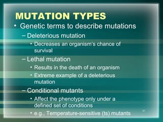 MUTATION TYPES
• Genetic terms to describe mutations
– Deleterious mutation
• Decreases an organism’s chance of
survival
– Lethal mutation
• Results in the death of an organism
• Extreme example of a deleterious
mutation
– Conditional mutants
• Affect the phenotype only under a
defined set of conditions
• e.g., Temperature-sensitive (ts) mutants
21
 