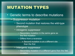 MUTATION TYPES
• Genetic terms to describe mutations
– Suppressor mutation
• Second mutation that restores the wild-type
phenotype
• Intragenic suppressor
– Secondary mutation in the same gene as
the first mutation
– Differs from a reversion
» Second mutation is at a different site
than the first
• Intergenic suppressor
– Secondary mutation in a different gene than the first
mutation
22
 