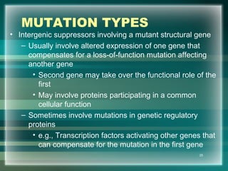 MUTATION TYPES
• Intergenic suppressors involving a mutant structural gene
– Usually involve altered expression of one gene that
compensates for a loss-of-function mutation affecting
another gene
• Second gene may take over the functional role of the
first
• May involve proteins participating in a common
cellular function
– Sometimes involve mutations in genetic regulatory
proteins
• e.g., Transcription factors activating other genes that
can compensate for the mutation in the first gene
25
 