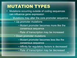 MUTATION TYPES
• Mutations occurring outside of coding sequences
can influence gene expression
– Mutations may alter the core promoter sequence
• Up promoter mutations
– Mutant promoter becomes more like the
consensus sequence
– Rate of transcription may be increased
• Down promoter mutations
– Mutant promoter becomes less like the
consensus sequence
– Affinity for regulatory factors is decreased
– Rate of transcription may be decreased
26
 