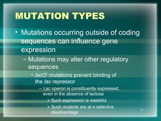 MUTATION TYPES
• Mutations occurring outside of coding
sequences can influence gene
expression
– Mutations may alter other regulatory
sequences
• lacOC
mutations prevent binding of
the lac repressor
– Lac operon is constituently expressed,
even in the absence of lactose
» Such expression is wasteful
» Such mutants are at a selective
disadvantage
27
 